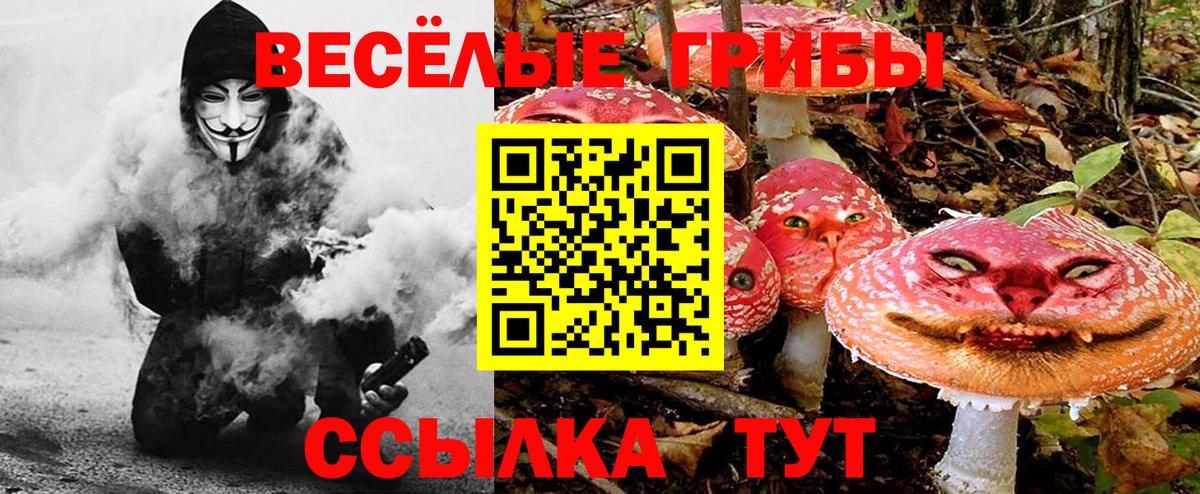 Псилоцибиновые грибы Psilocybine cubensis  Псилоцибиновые грибы Psilocybine cubensis  Уфа  Вход с VPN 